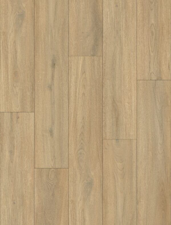 Harbour Oak - SPC Click